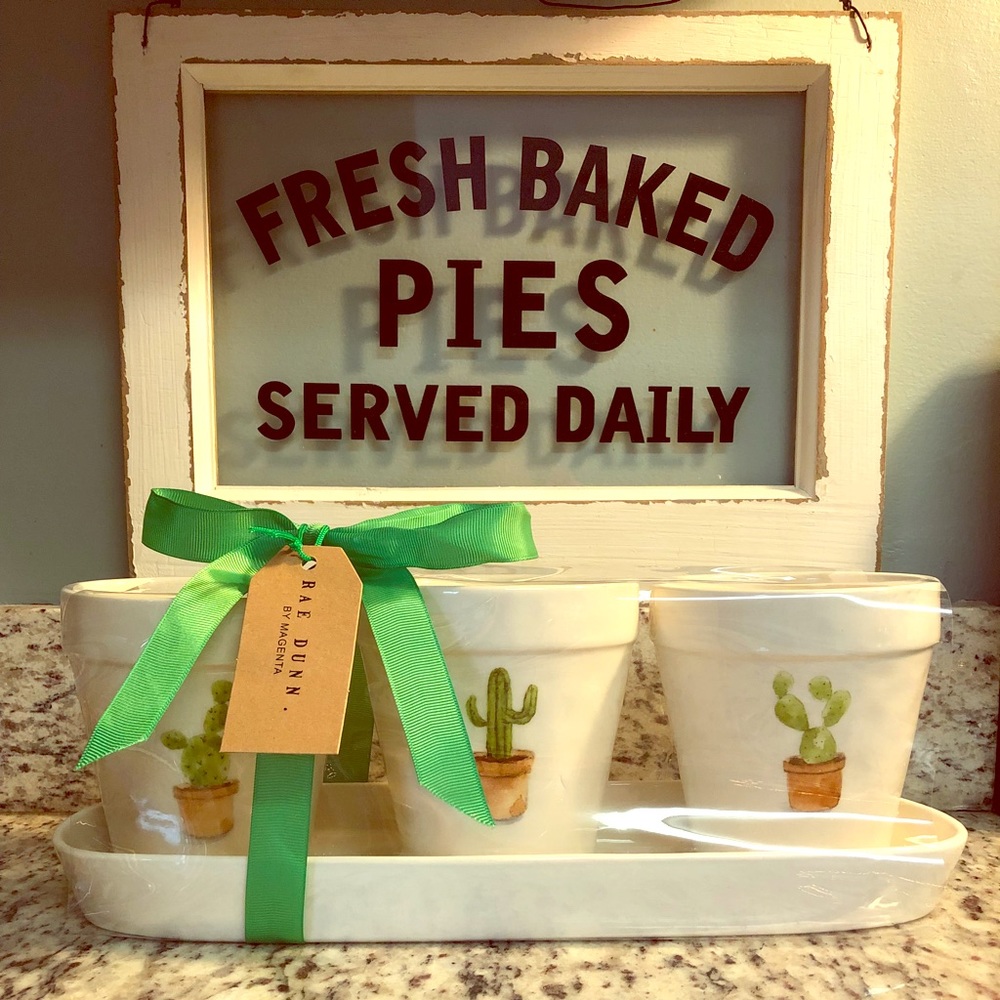 💚✨RAE DUNN! Brand new cactus planter